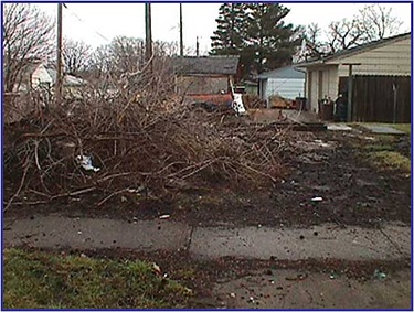 Tree Branches & Debris